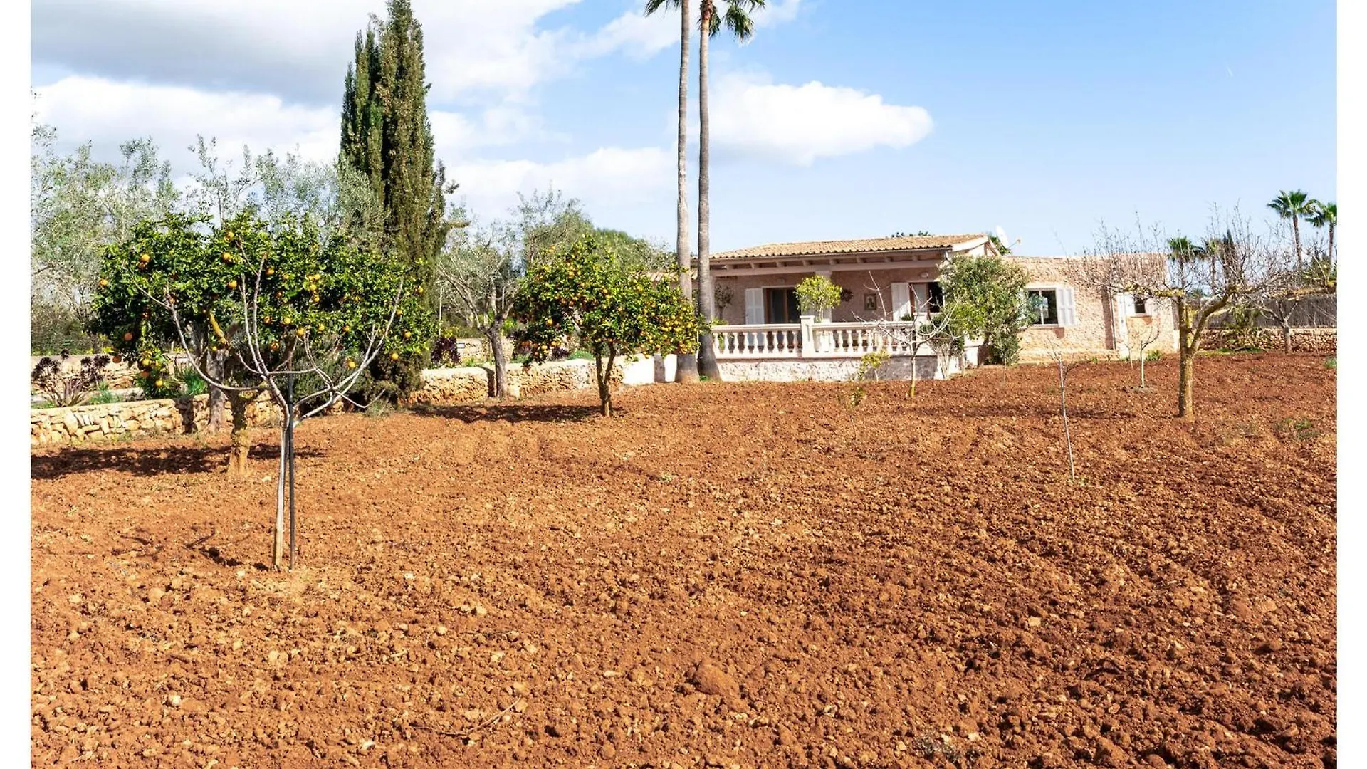 3 Bedroom Stunning Home In SAlquería Blanca Σπίτι διακοπών